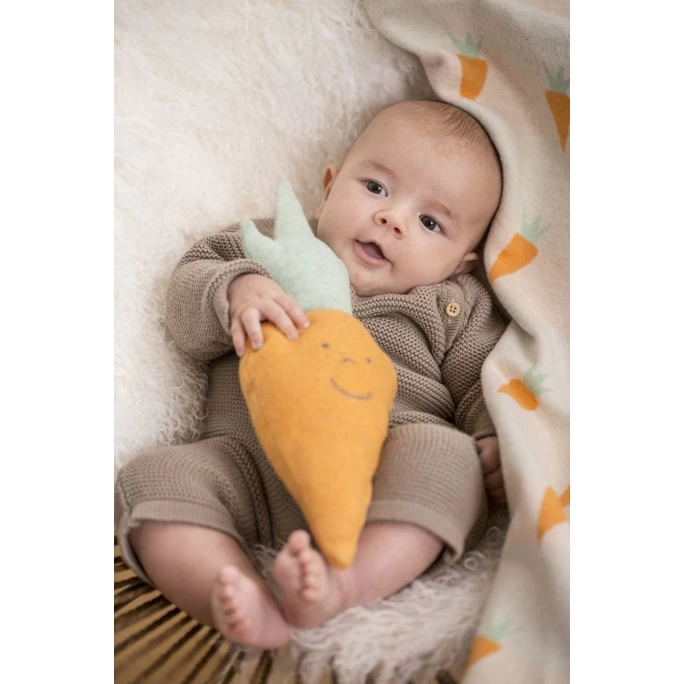 David Fussenegger JUWEL Möhre Kissen Mit Füllung - 13x36 Cm - Hellorange 4 David Fussenegger JUWEL Möhre Kissen Mit Füllung - 13x36 Cm - Hellorange – Bild 2